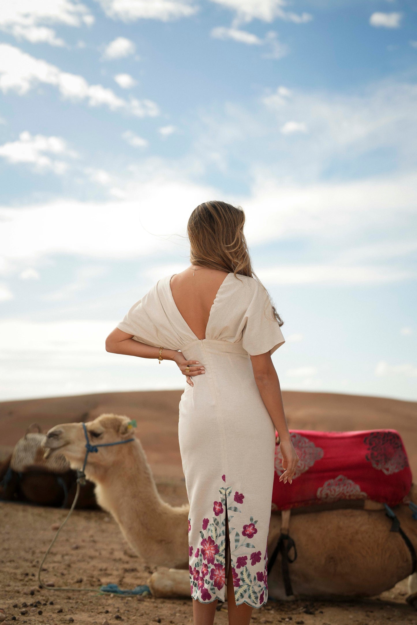 VESTIDO ARIA BORDADO